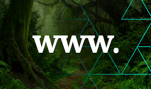 Websites can be carbon neutral. Here’s how…