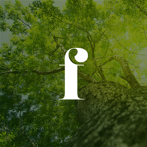 Green Claims Code: Getting your green content right