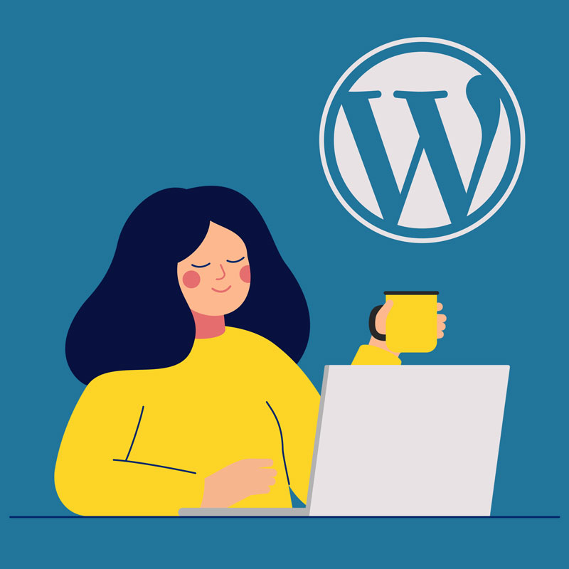 WordPress websites – Reasons to go custom on your website development