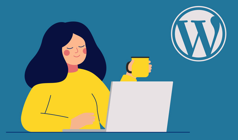 WordPress websites – Reasons to go custom on your website development