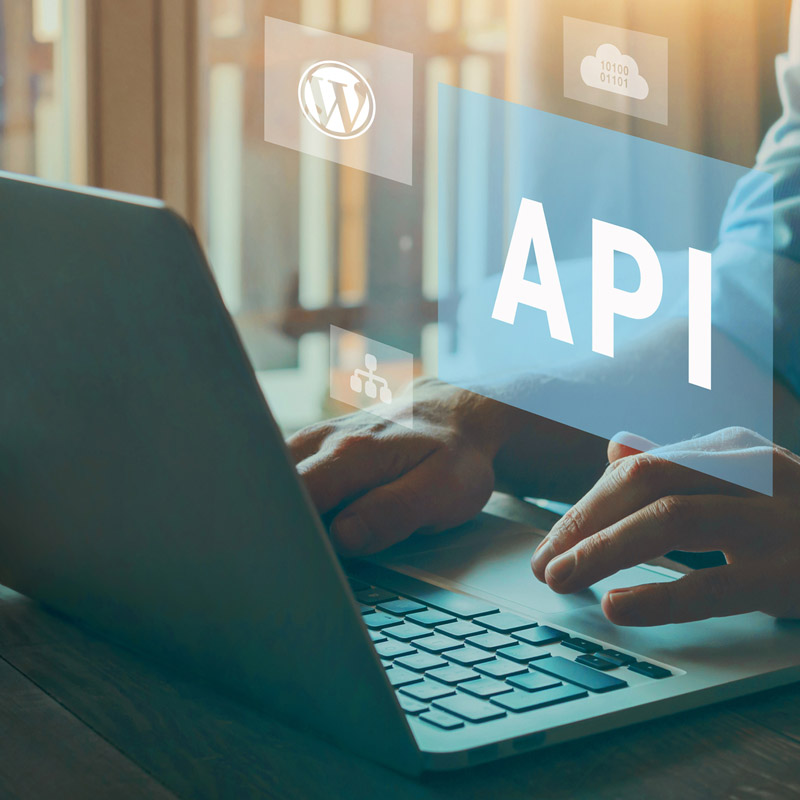 Boost your WordPress site: A guide to API integration