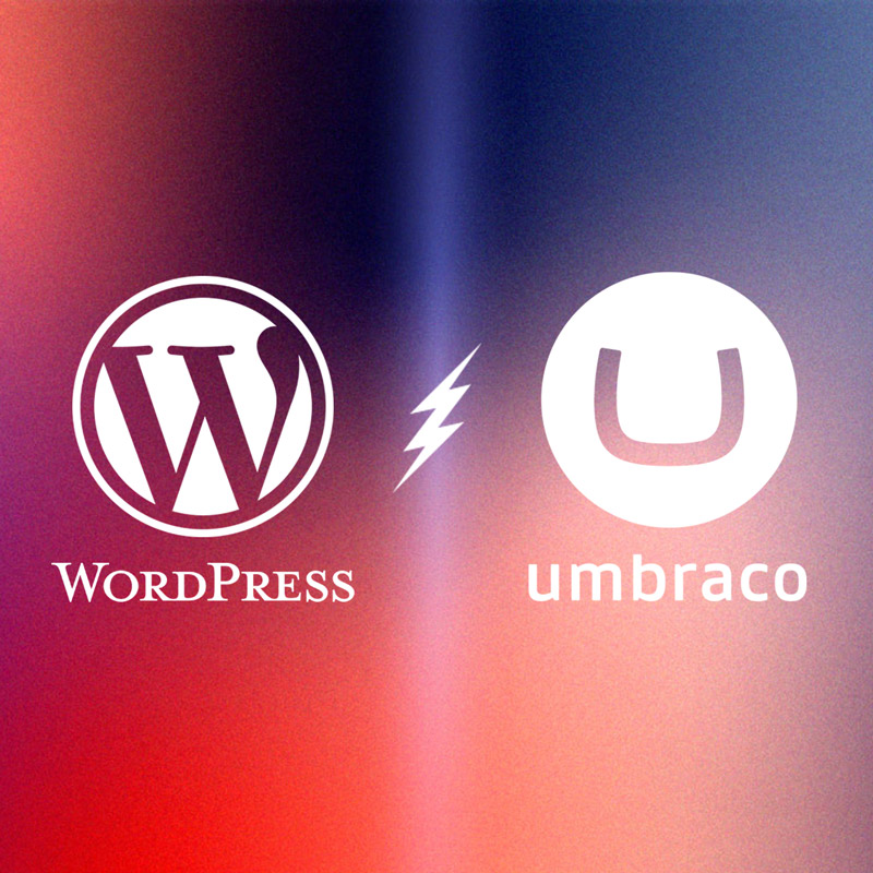 WordPress vs Umbraco: Which CMS is best for your business?