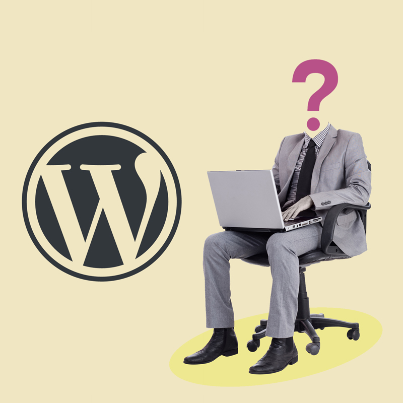How to choose the right WordPress agency for your website build